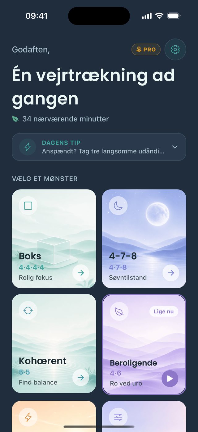 Én kugle, seks rytmer