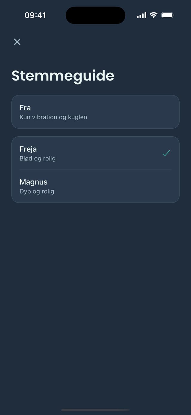 En stemme guider dig