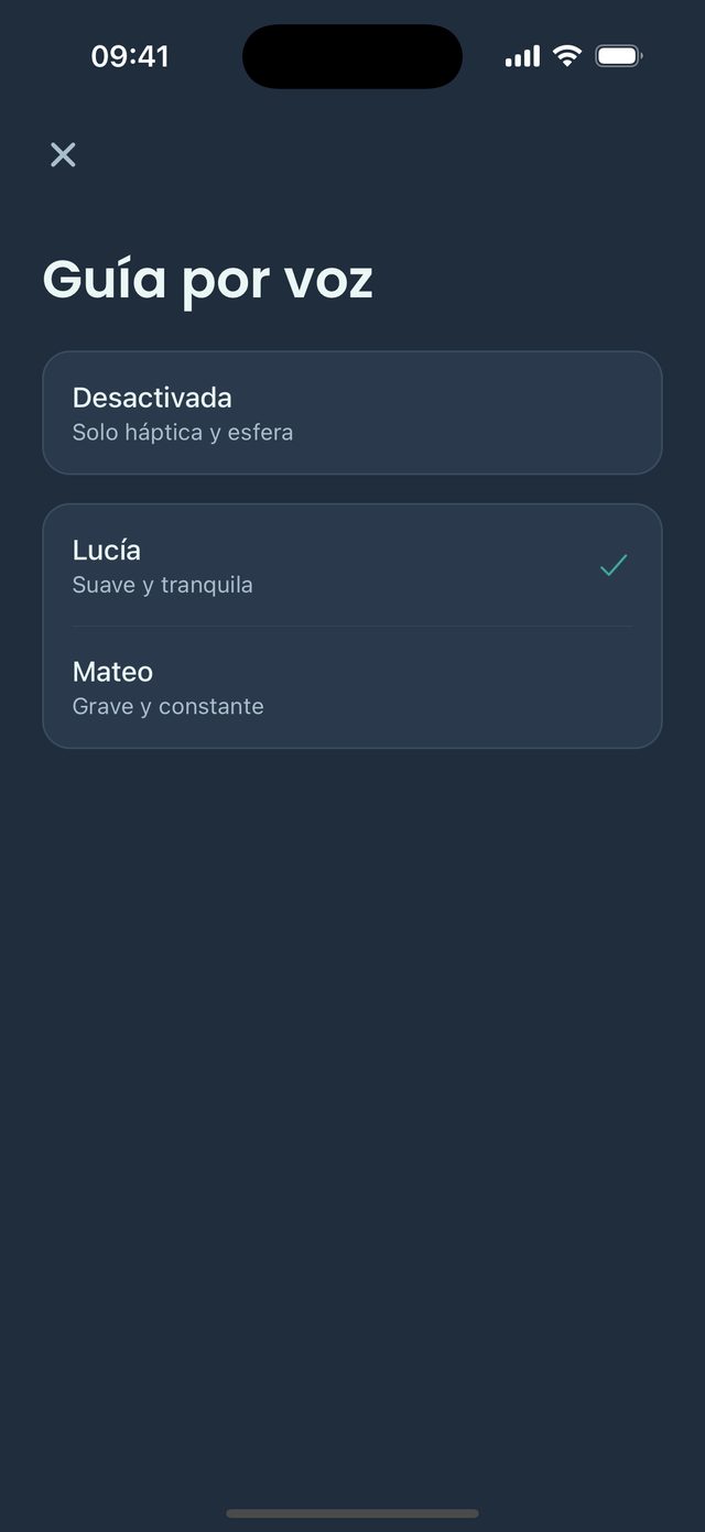 Una voz te guía