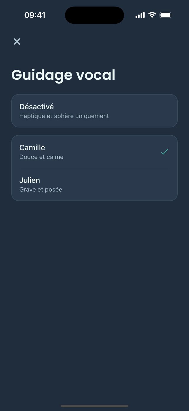 Une voix vous guide