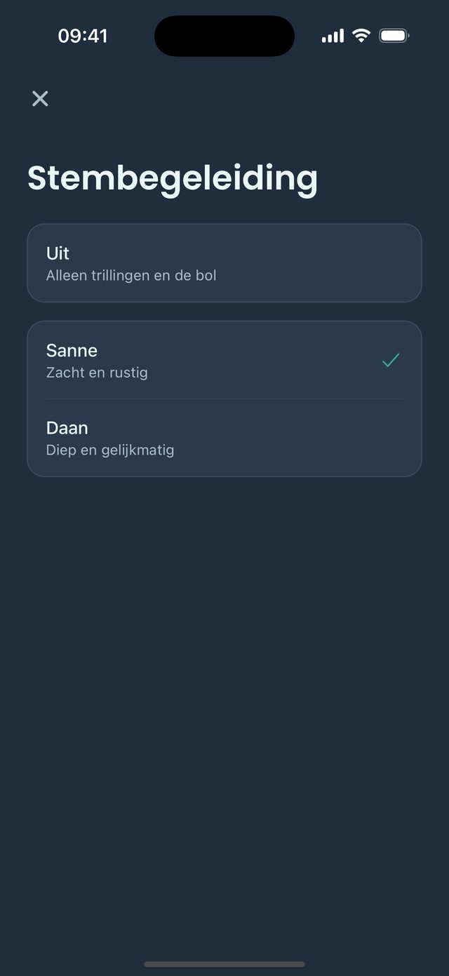 Een stem begeleidt je